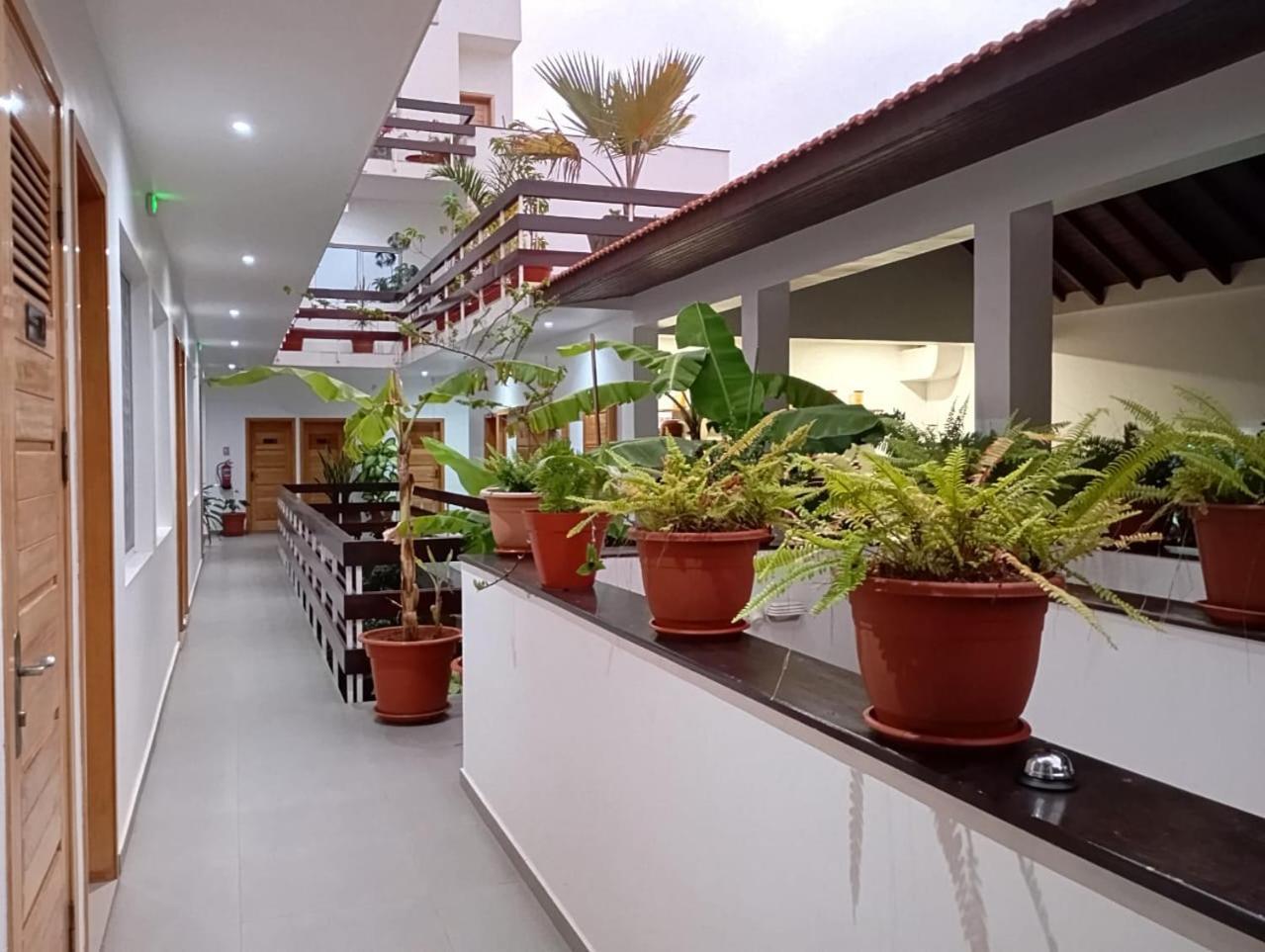 טאראפל Hotel Viajante מראה חיצוני תמונה