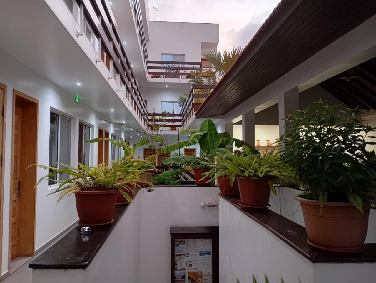 טאראפל Hotel Viajante מראה חיצוני תמונה